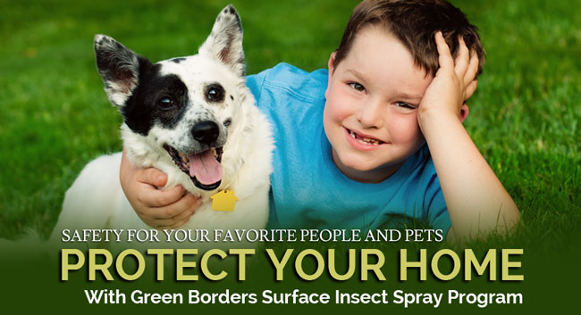 Surface Insect Spray Program - Fleas, Ticks and More | Green Borders